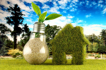 Plant growing inside the light bulb and green house icon with field and blue sky background. Eco renewable energy concept. Electricity prices, energy saving in the household.