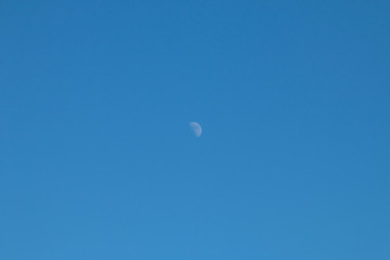 moon in the sky