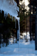 icicles on the roof