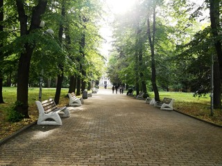 Summer Park