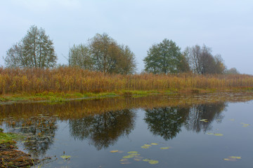 Fototapeta na wymiar Landscape with lake and trees