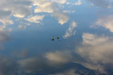 Reflection of the sky and clouds in the water