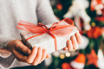 hands of trickle holding up a Christmas present