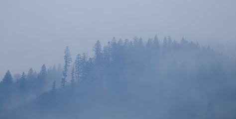 Obraz premium Foggy village Bohdan in the Carpathians