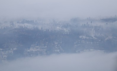 Foggy  village Bohdan in the Carpathians