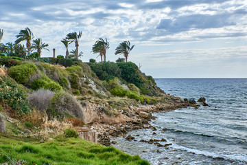 Cyprus. Kissonerga. Stony seashore. Palm trees © Минихан Сафин