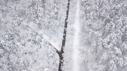Top down view of the forest in winter. Winter landscape in the forest. Flying over ski track in winter forest. Top down view of ski road. Drone follow the walking girl skier at ski track. Winter lands