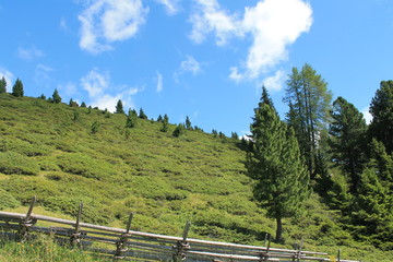 Berghang