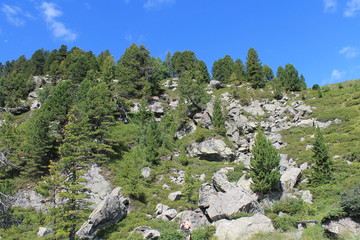 rauer Berghang