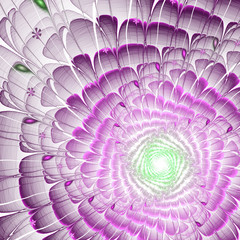 Light purple fractal flower, digital artwork for creative graphic design