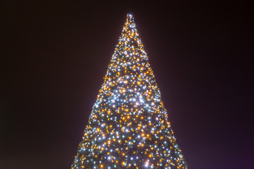Decorated illuminating Christmas tree