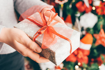 hands of trickle holding up a Christmas present