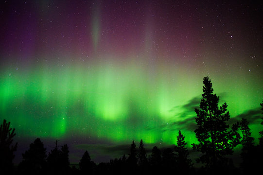 Aurora Borealis, Northern lights, above boreal forest in Finnish Lapland.