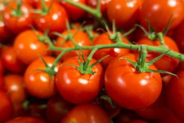 close up of cluster of green vine red tomatos at the super market