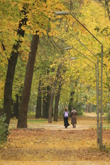 Obraz premium woman walking in park in autumn