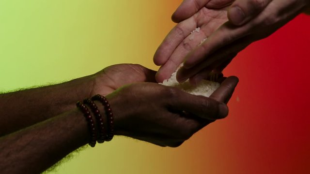 Hands of white man giving rice grains to another hands of afroamerican, isolated on bright background. Stock. Pouring rice from hands to hands, humanitarian aid, helping to poor countries concept.