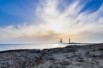 Scenic Favignana seascape with a a flying seagull and Punta Sottile lighthouse, Aegadian Islands, Sicily, Italy