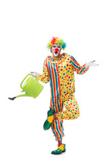Funny clown isolated on white background