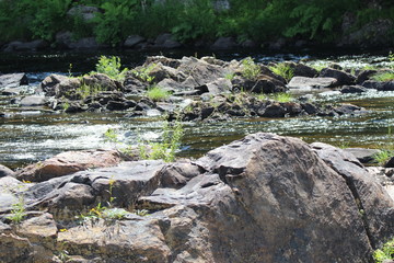 Riviere
