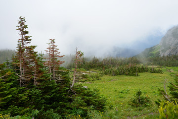 Obraz na płótnie Canvas Fog lies over the landscape in Glacier National Park.