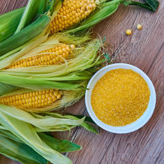Fresh sweet corn with a bowl of corn grits on wooden table. Selective focus. Eco Food Concept. GMO-free concept