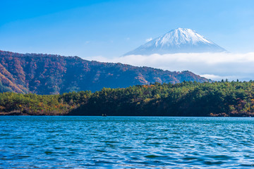 Beautiful landscape of mountain fuji with maple leaf tree around lake