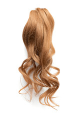 Obraz premium Natural curly brown hair isolated on white background