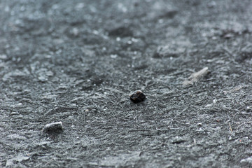 Abstract frozen background