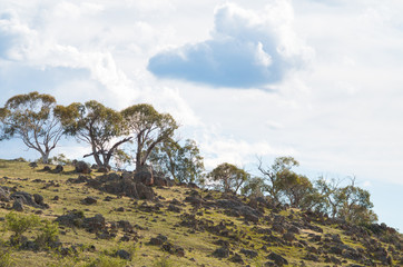 Rocky australian countryside on an overcast day