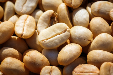 Obraz premium close up Dried Coffee Beans in sunny day before roasted Background