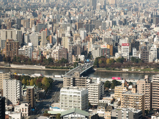 Fototapeta premium 東京都 隅田川と言問橋