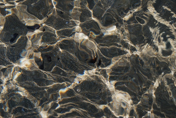 Holiday black sea dreams