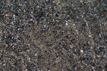 Holiday black sea dreams