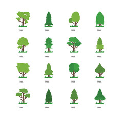 Simple Set of 16 Vector Icon. Contains such Icons as Tree, undefined, undefined. Editable Stroke pixel perfect