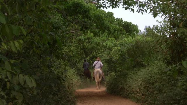 Tourists riding horses in jungle of tropical cuban ranch fields in Vinales valley, Cuba