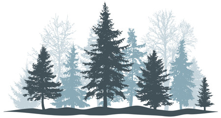 Winter forest evergreen pine, tree isolated. Park Christmas tree. Individual, separate objects. Vector illustration - obrazy, fototapety, plakaty