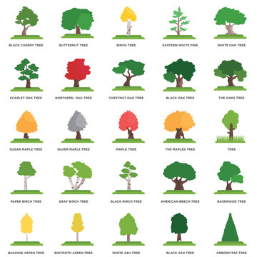 Simple Set Of 25 Vector Icon. Contains Such Icons As Tree, White Ash Bigtooth Aspen Sugar Maple Tree. Editable Stroke Pixel Perfect