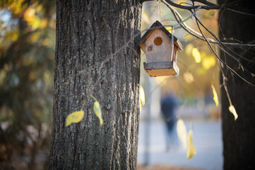 Birdhouse hanging on a tree in the autumn park