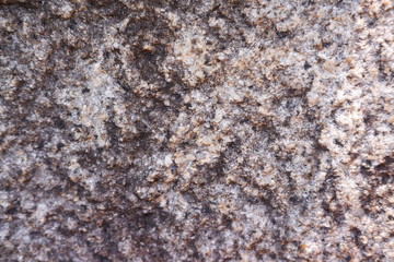 wall background and textures