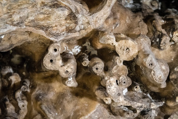 Old broken stalactites.