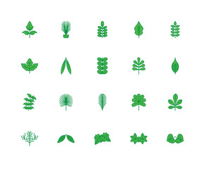 Set Of 20 icons such as Cercis leaf, Liquidambar Hawthorn Lemon
