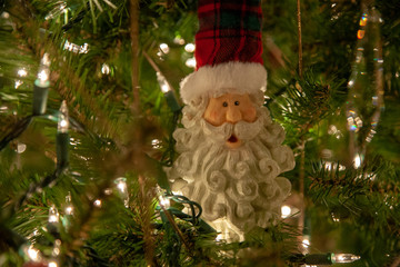 Santa Ornament in a Christmas Tree
