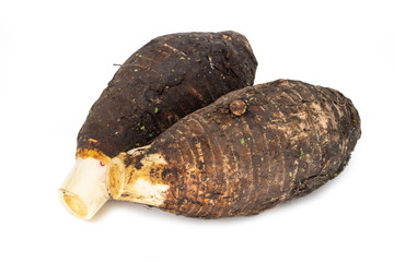 Taro auf weissem Hintergrund