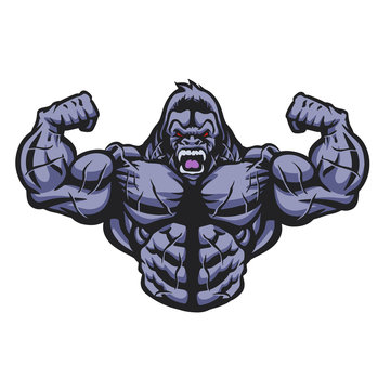 gorilla muscle