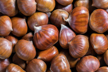 Pile of raw edible chestnuts, background, close-up, top view