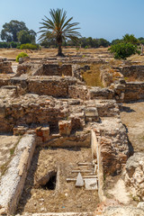 Fototapeta premium Ruins of the ancient town Pupput, Tunisia