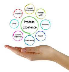 Drivres of  Process Excellence