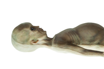 Obraz premium Dead humanoid alien