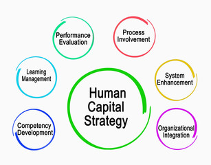 Human Capital Strategy.