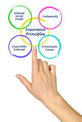 Four Insurance Principles.